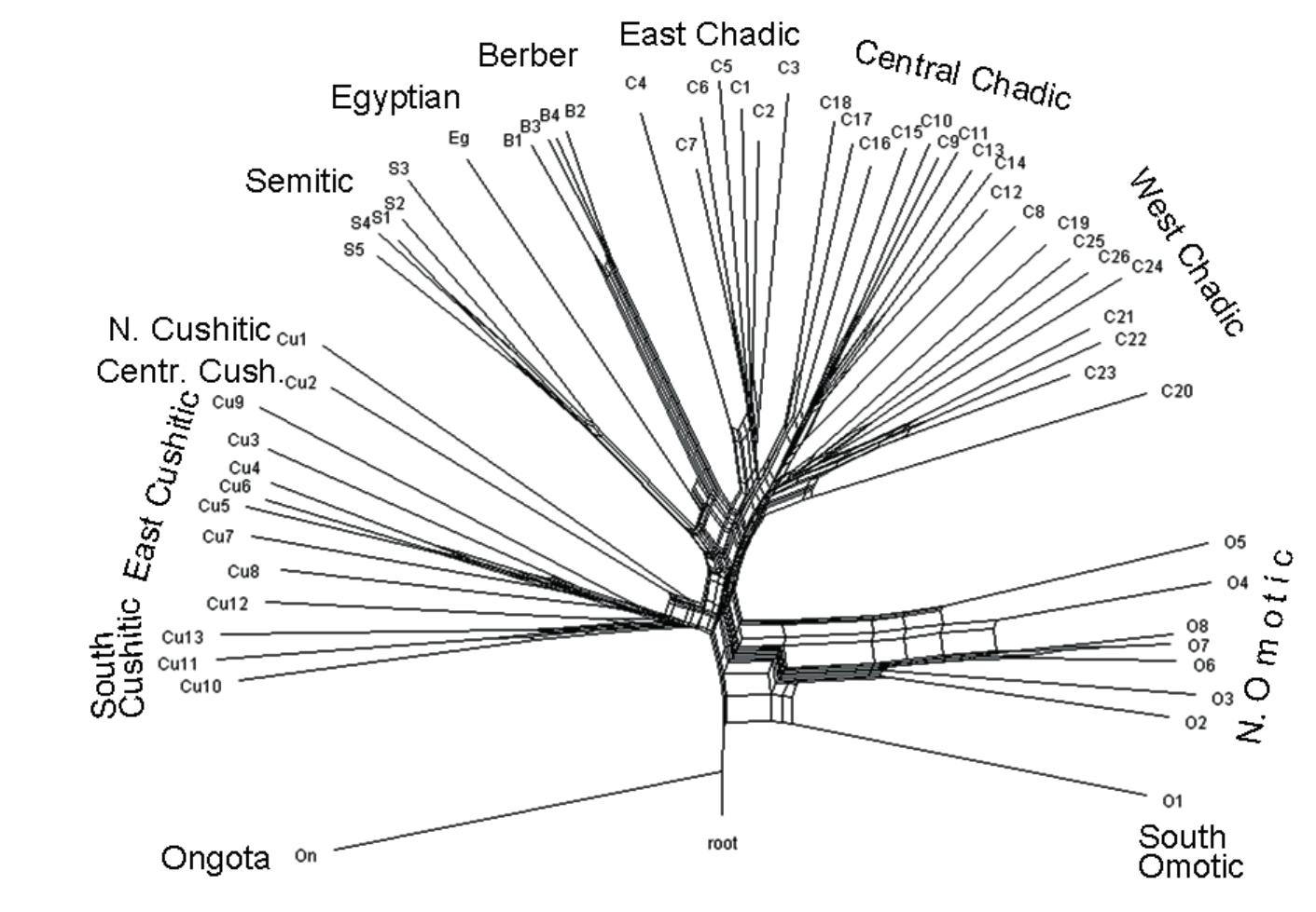 Tangale Language (PDF) Asia or Africa? Locating the Afrasian homeland (2021)