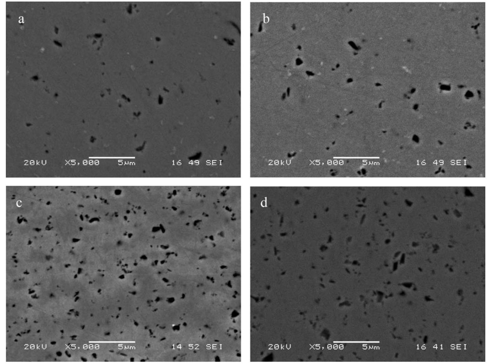 Cross-sectional sem micrographs of sic particle