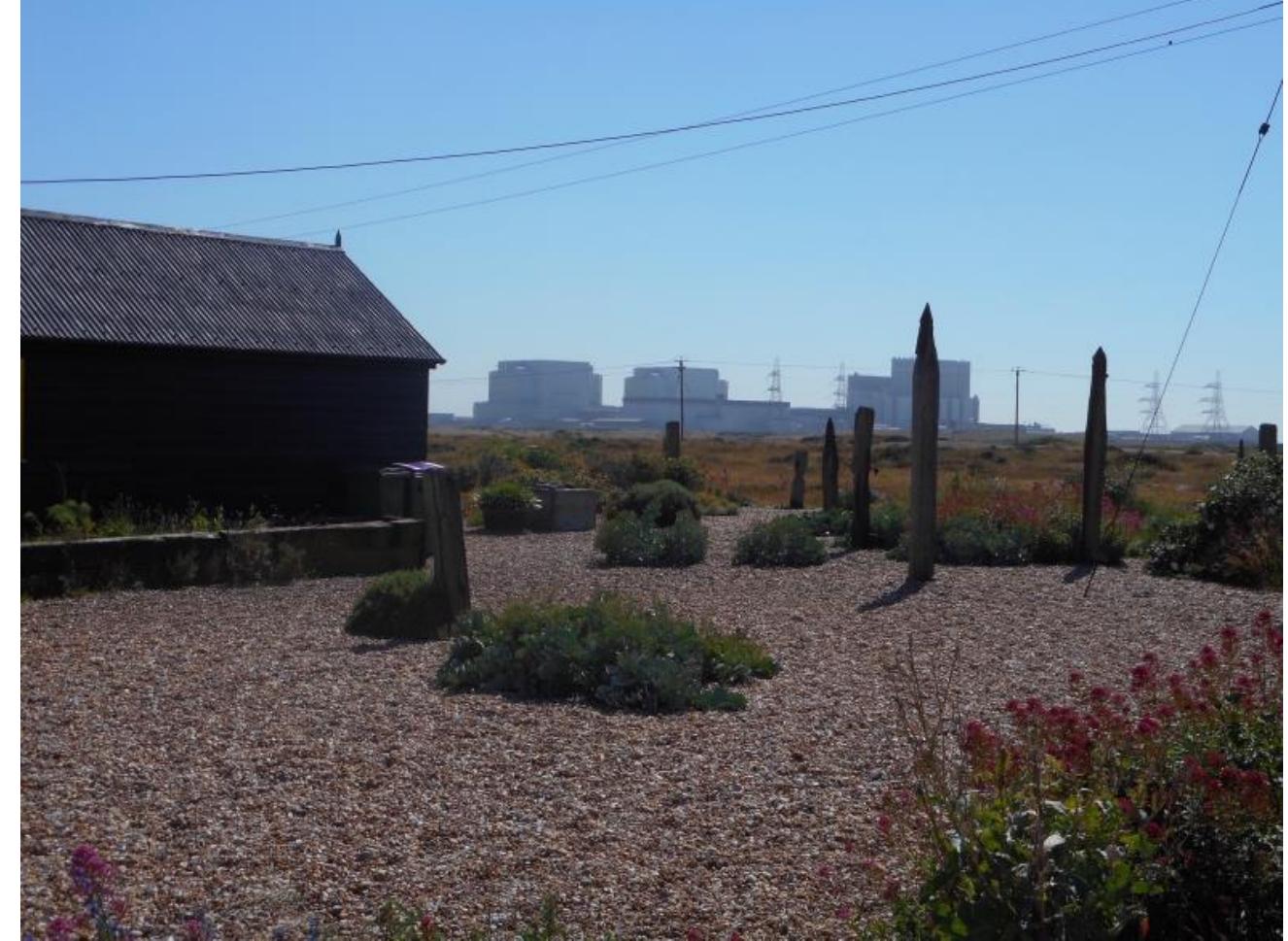 PDF) “Modern Nature”: Derek Jarman's Garden