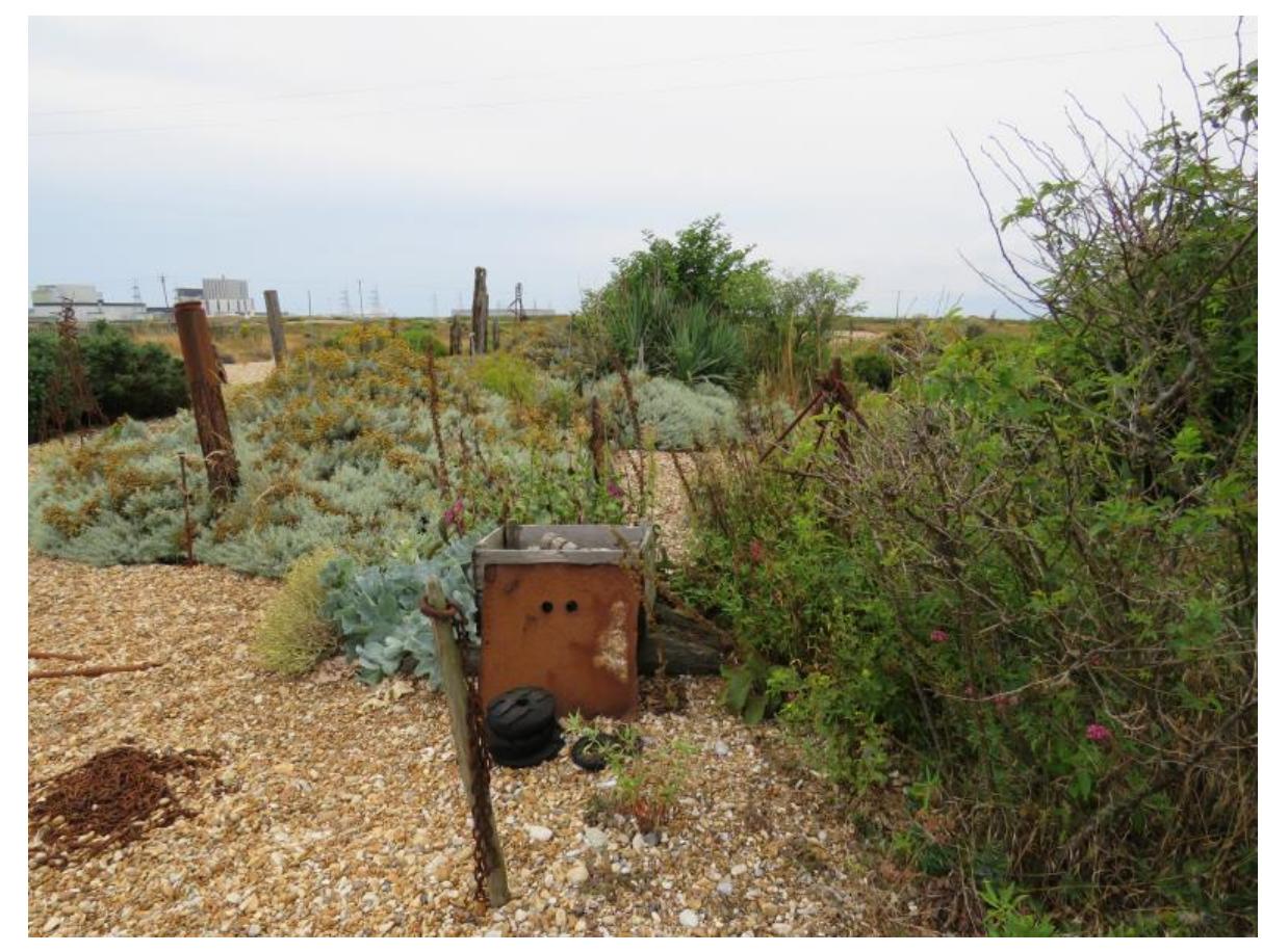 PDF) “Modern Nature”: Derek Jarman's Garden