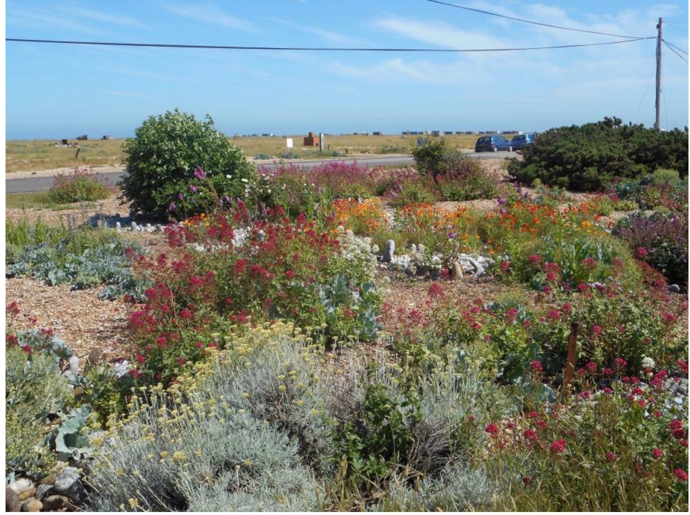 PDF) “Modern Nature”: Derek Jarman's Garden
