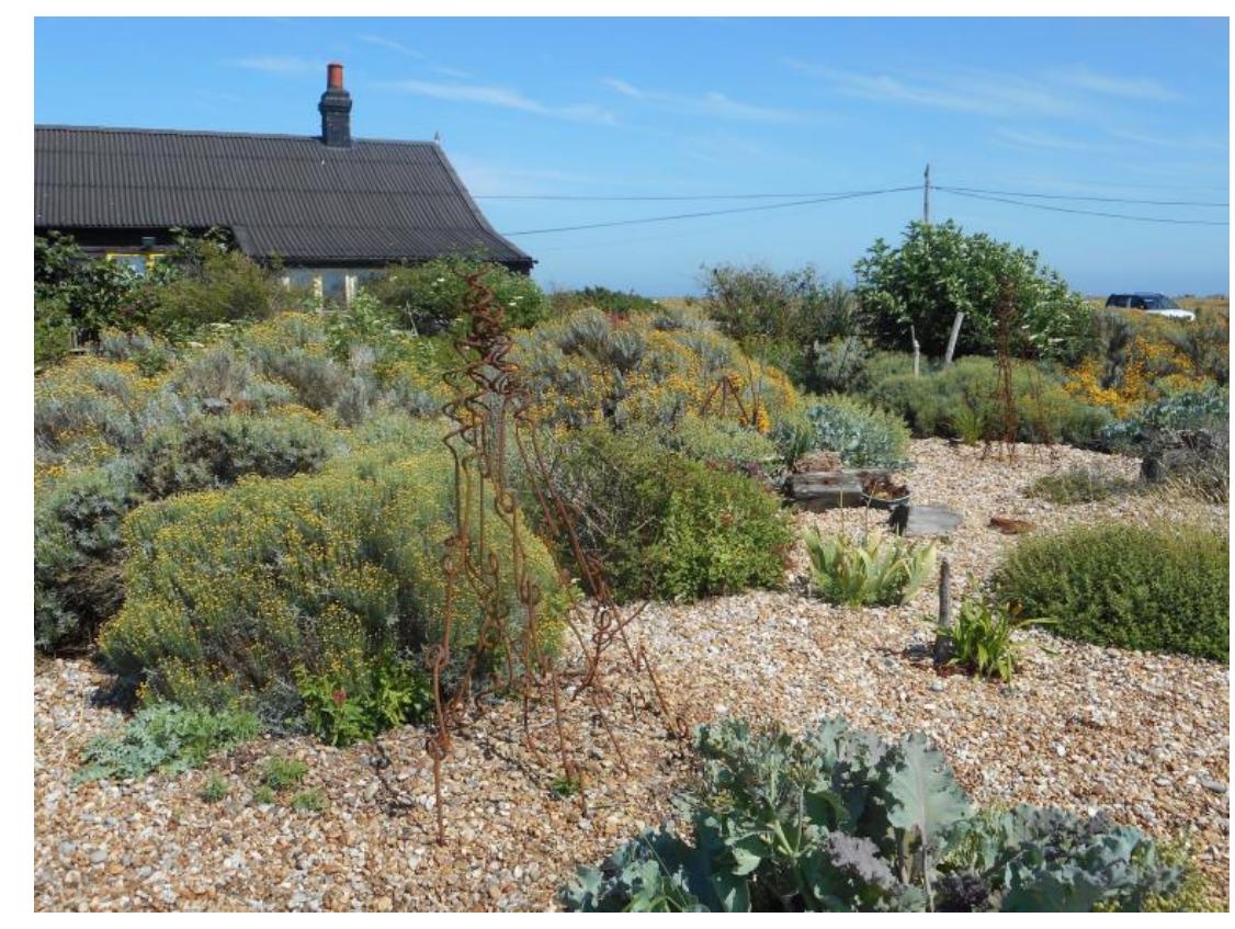 PDF) “Modern Nature”: Derek Jarman's Garden