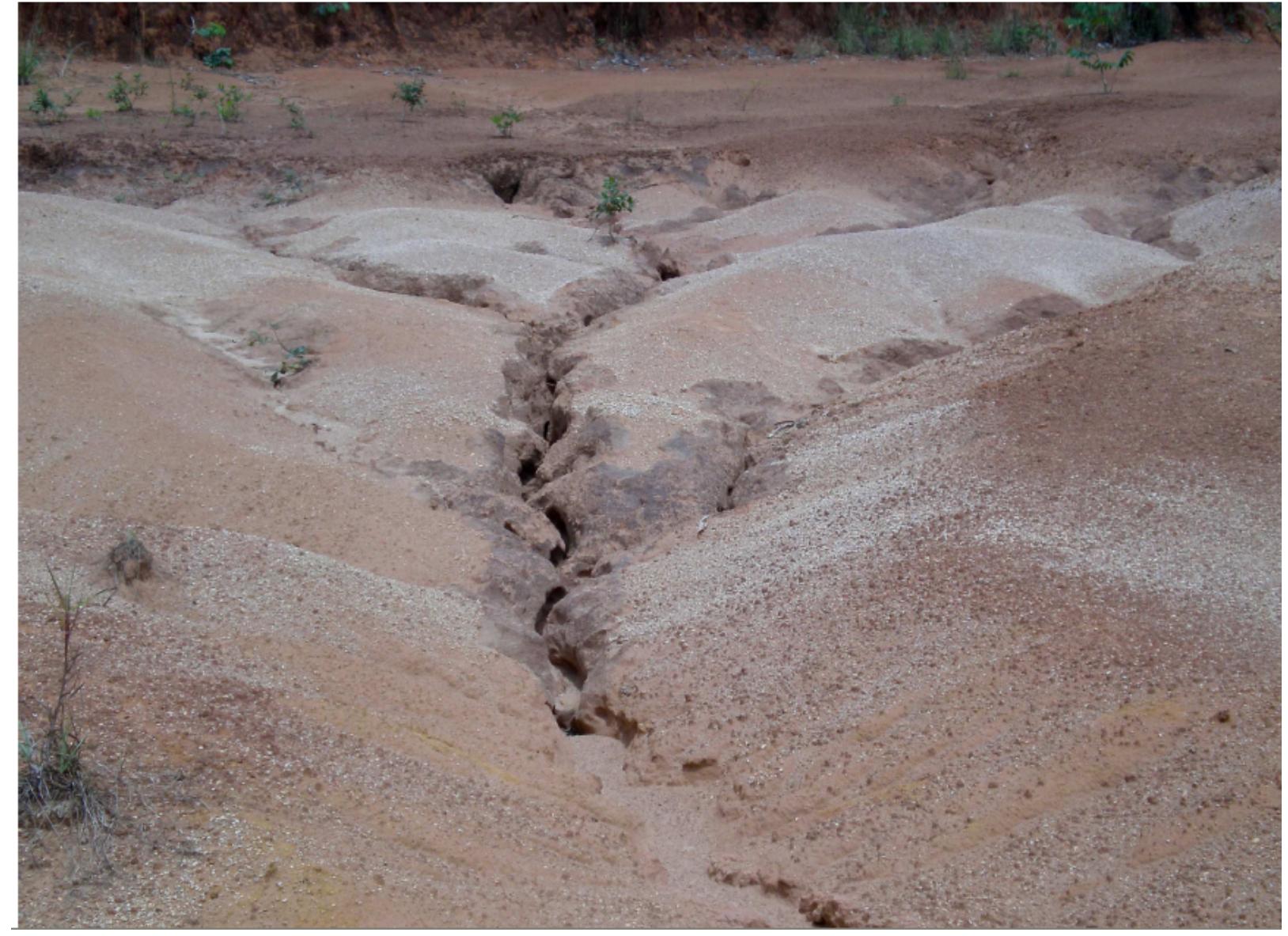 (PDF) Gully Erosion in Anambra State, South East Nigeria: Issues and ...