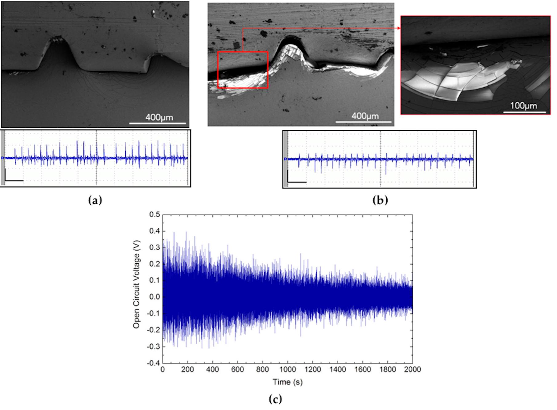 Scanning electron microscope (sem) images showing crack