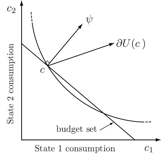 PDF) Dynamic Asset Pricing Theory