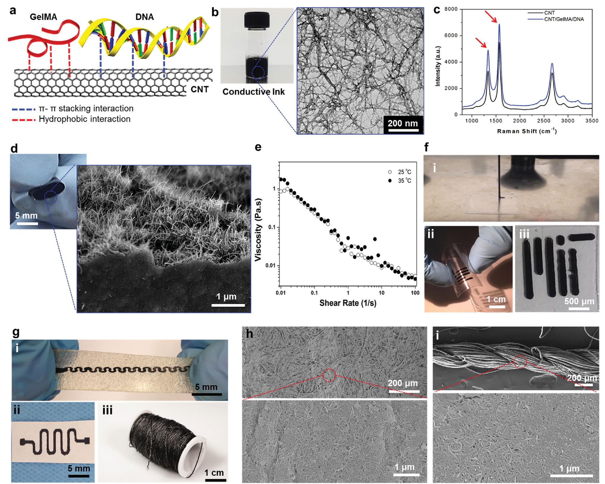 (PDF) A Bioactive Carbon Nanotube-Based Ink for Printing 2D and 3D ...
