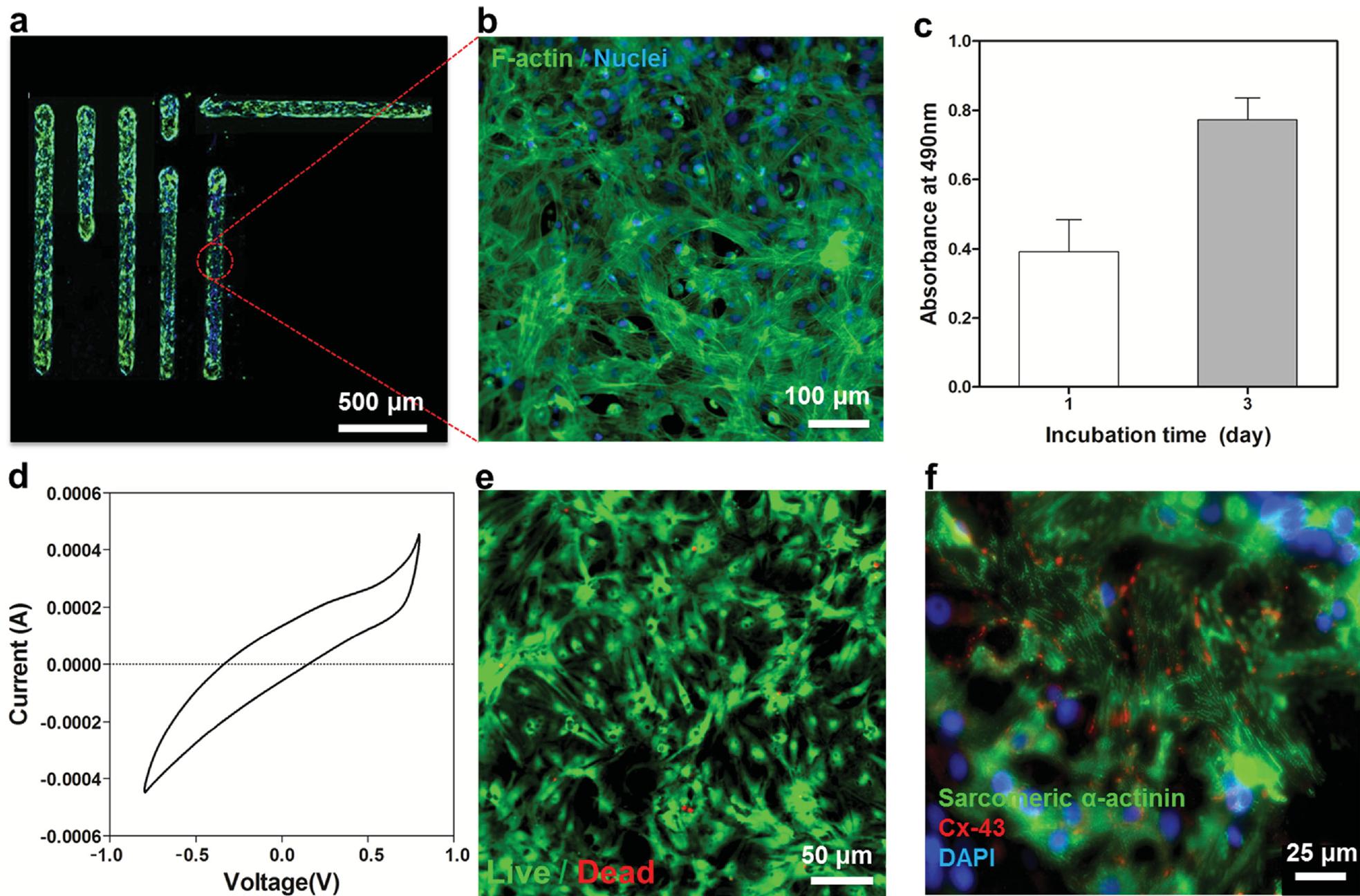 (PDF) A Bioactive Carbon Nanotube-Based Ink for Printing 2D and 3D ...