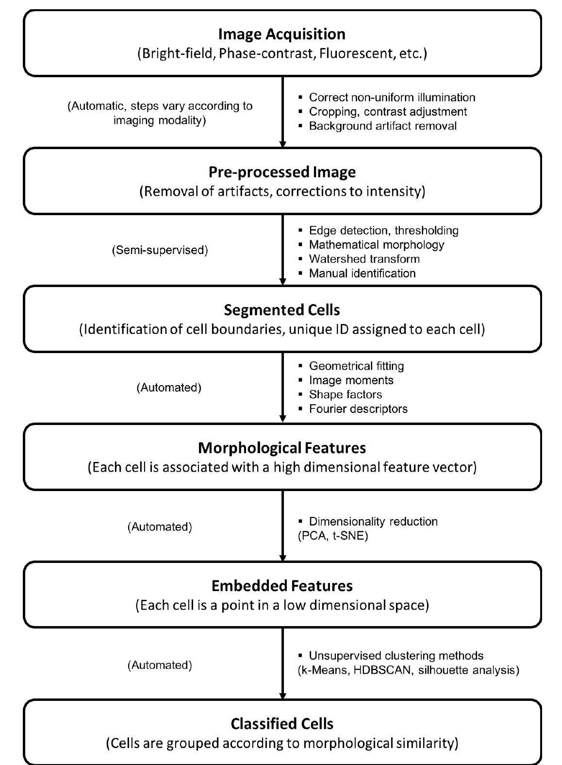 Cell Feature Extraction Image (PDF) A methodology for morphological feature extraction and ...