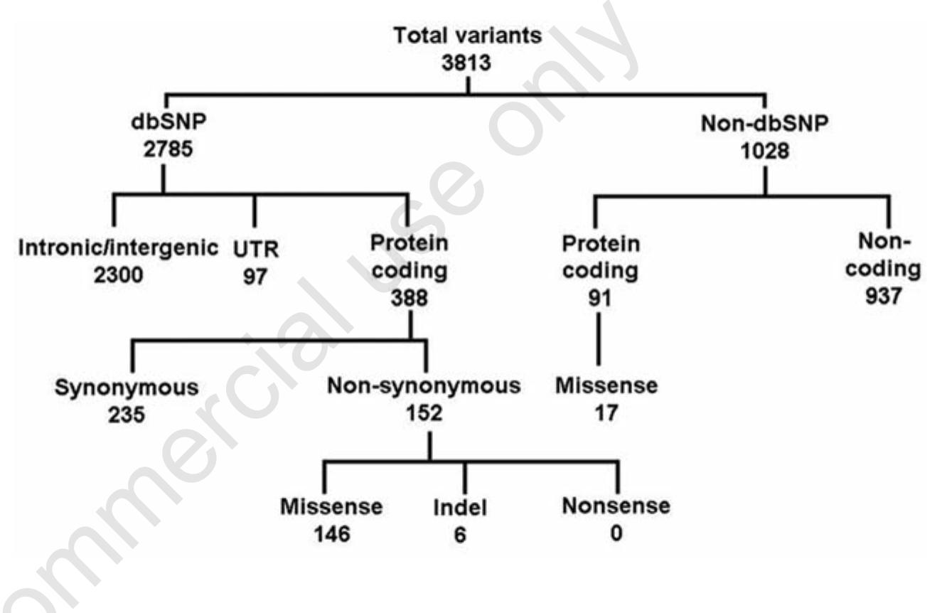 (PDF) Targeted capture and massively parallel sequencing of 12 human exomes
