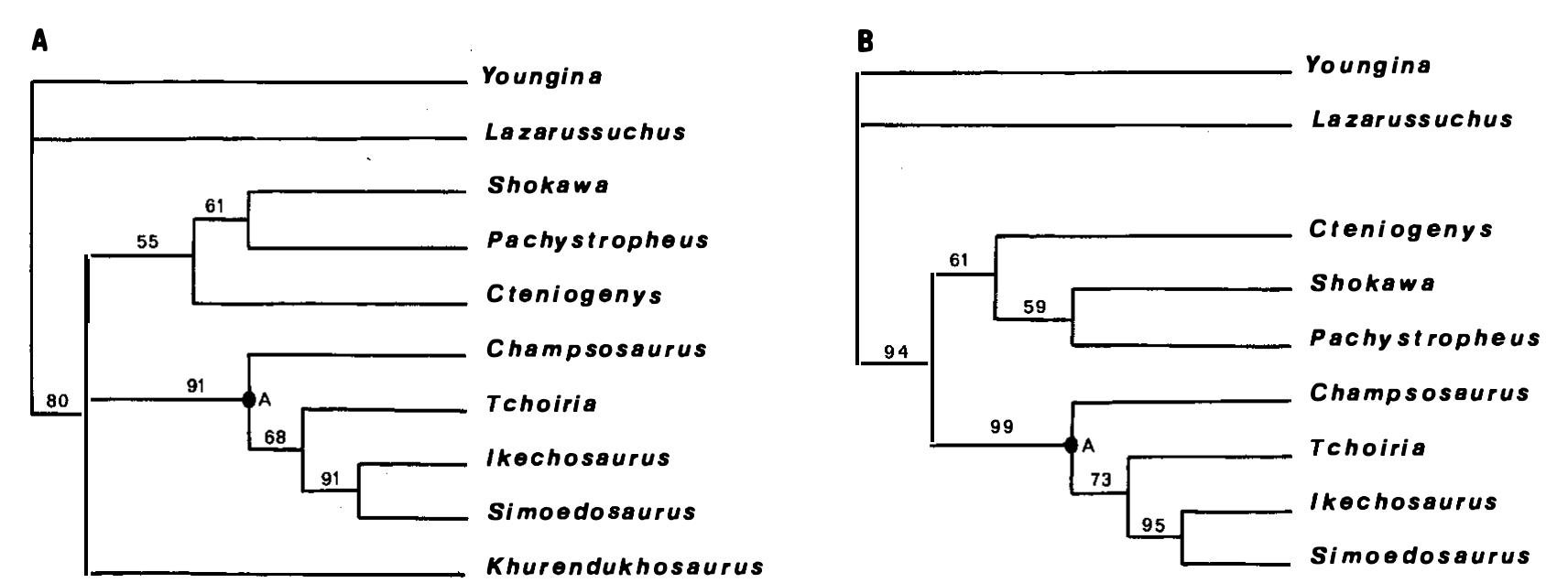 (PDF) A choristoderan reptile from the Lower Cretaceous of Japan