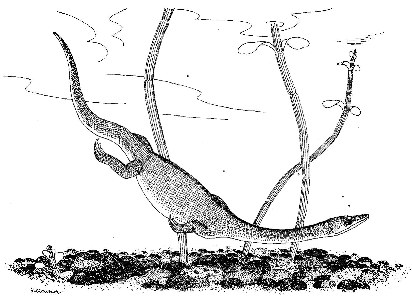 (PDF) A choristoderan reptile from the Lower Cretaceous of Japan