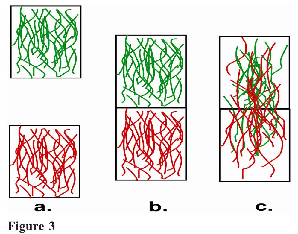 Figure 1 - from Drug Delivery from the Oral Cavity: A Focus
