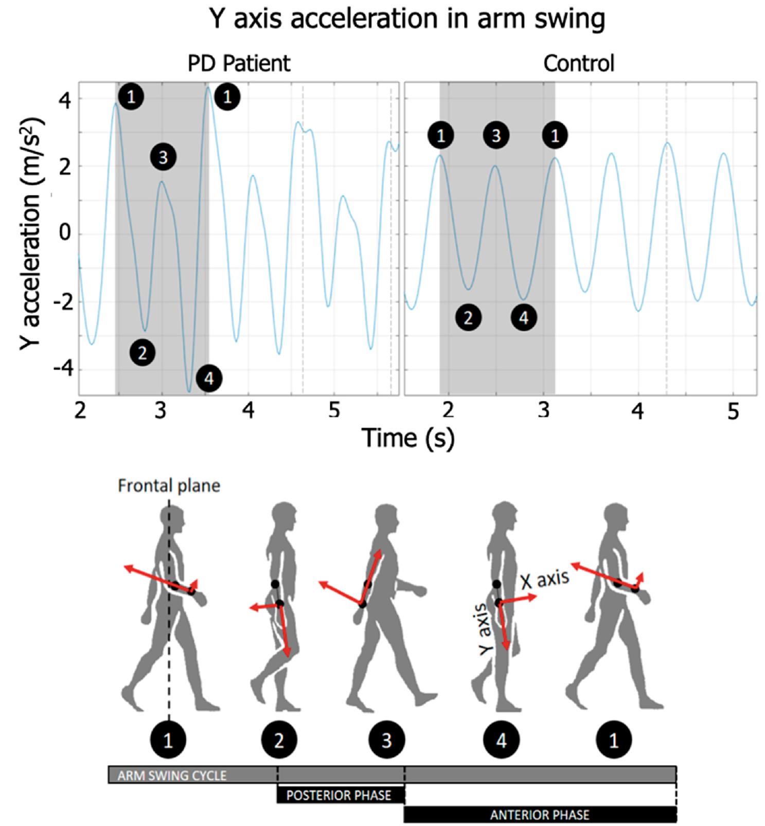 1-2-3-4-1 represents all phases of a complete gait cycle.