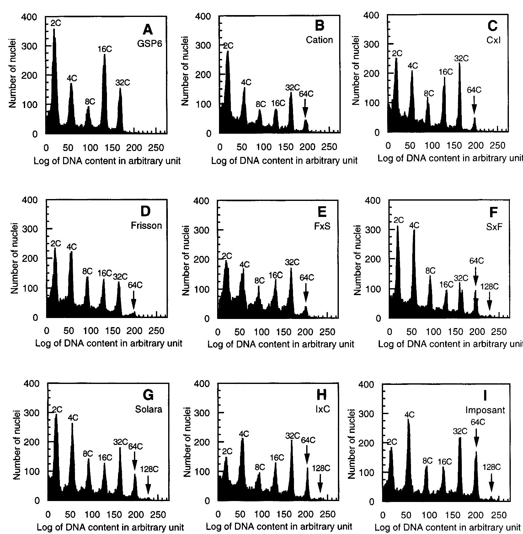 Endoreduplication patterns of mature cotyledons in nine pea