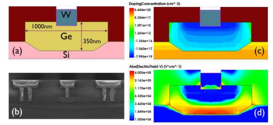 (a) schematic cross-section of the ge waveguide apd. (b) sem