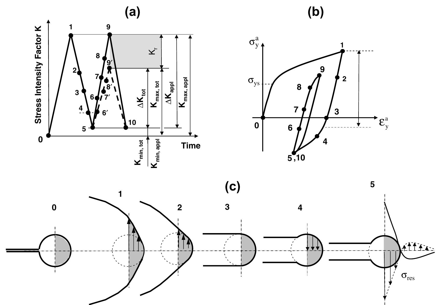 Schematic crack tip geometry and displacement field, cyclic