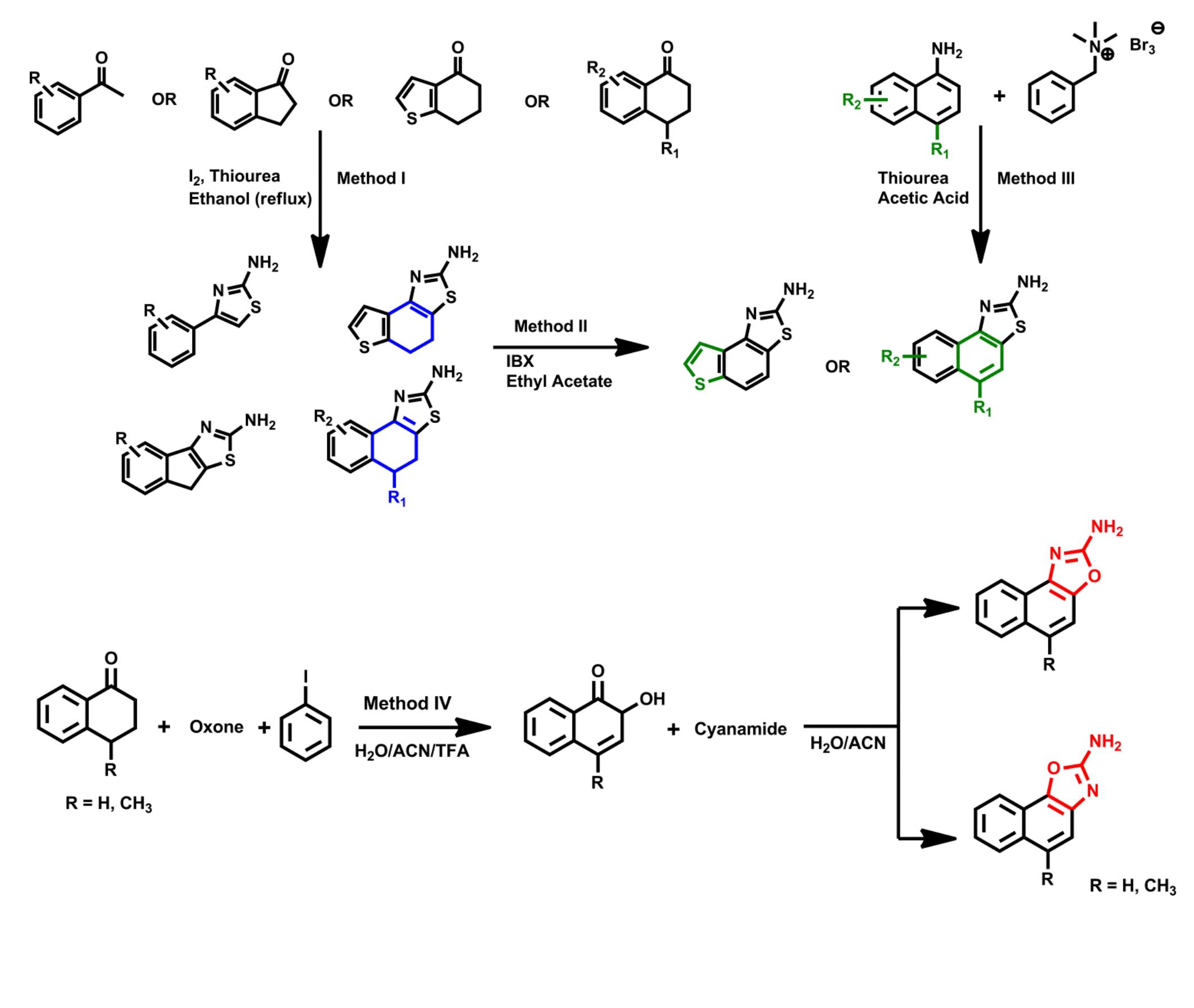Figure 1 - New positive Ca2+-activated K+ channel gating