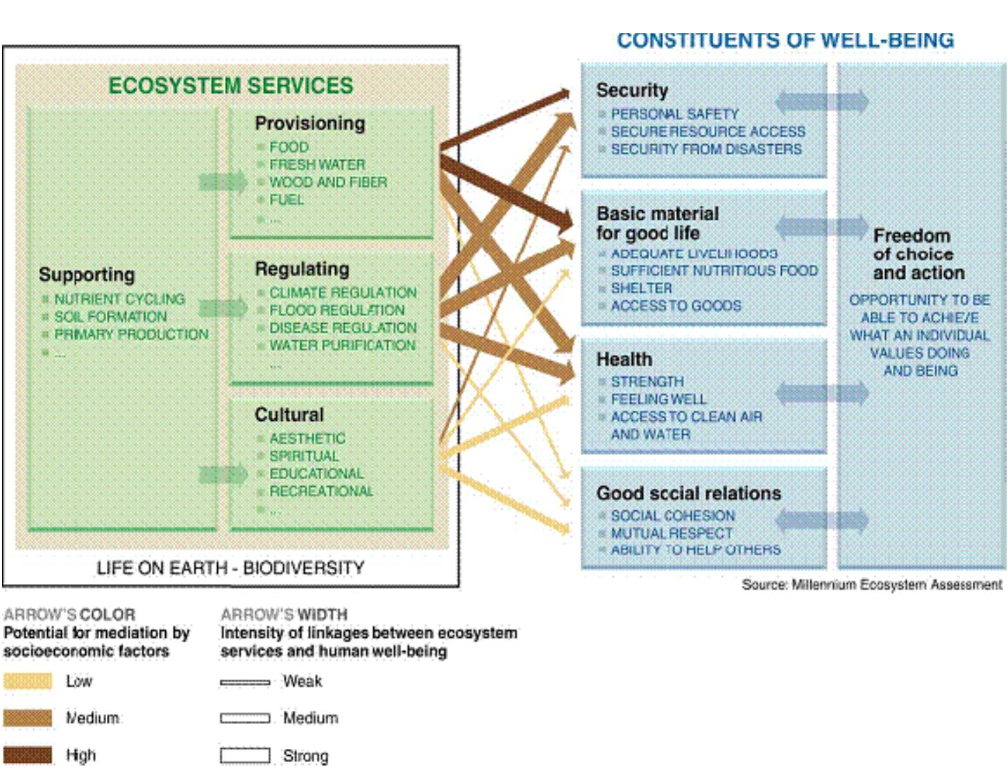 From ecosystems). figure | illustrates the complex linkages