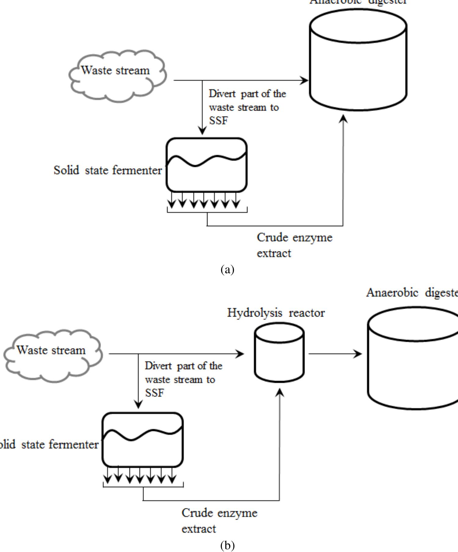Schematic diagram presenting the integration of the ssf