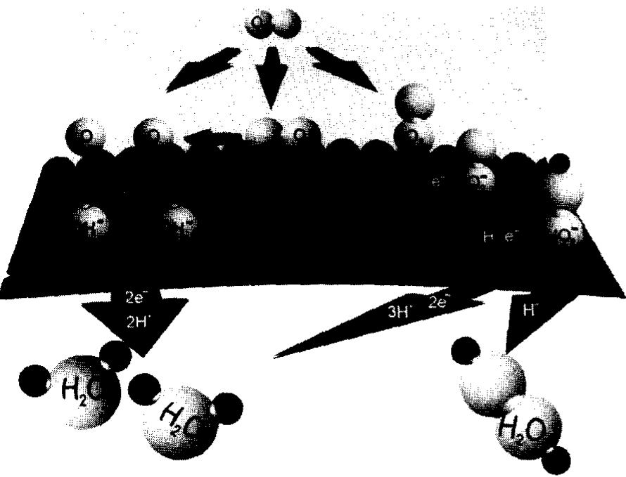 Reaction pathways for electrochemical reduction of oxygen in