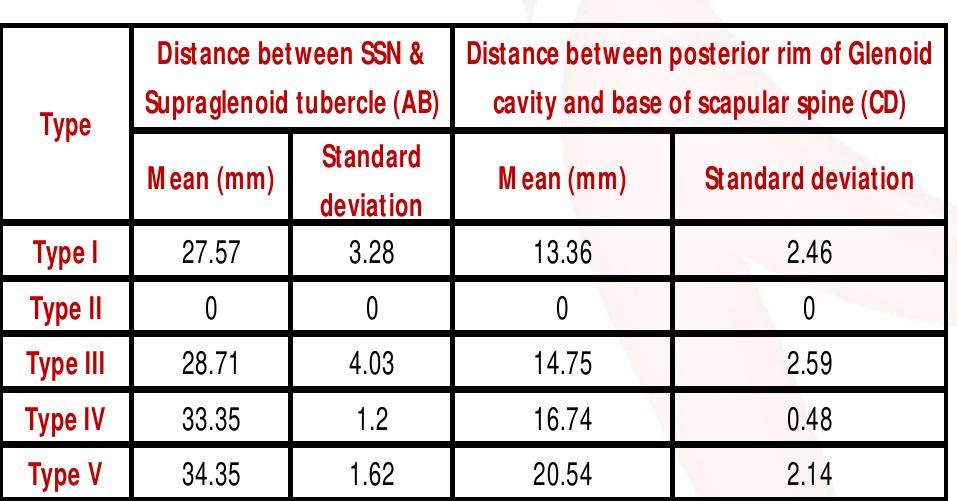 (PDF) Morphometric Study of Suprascapular Notch as a Factor of ...