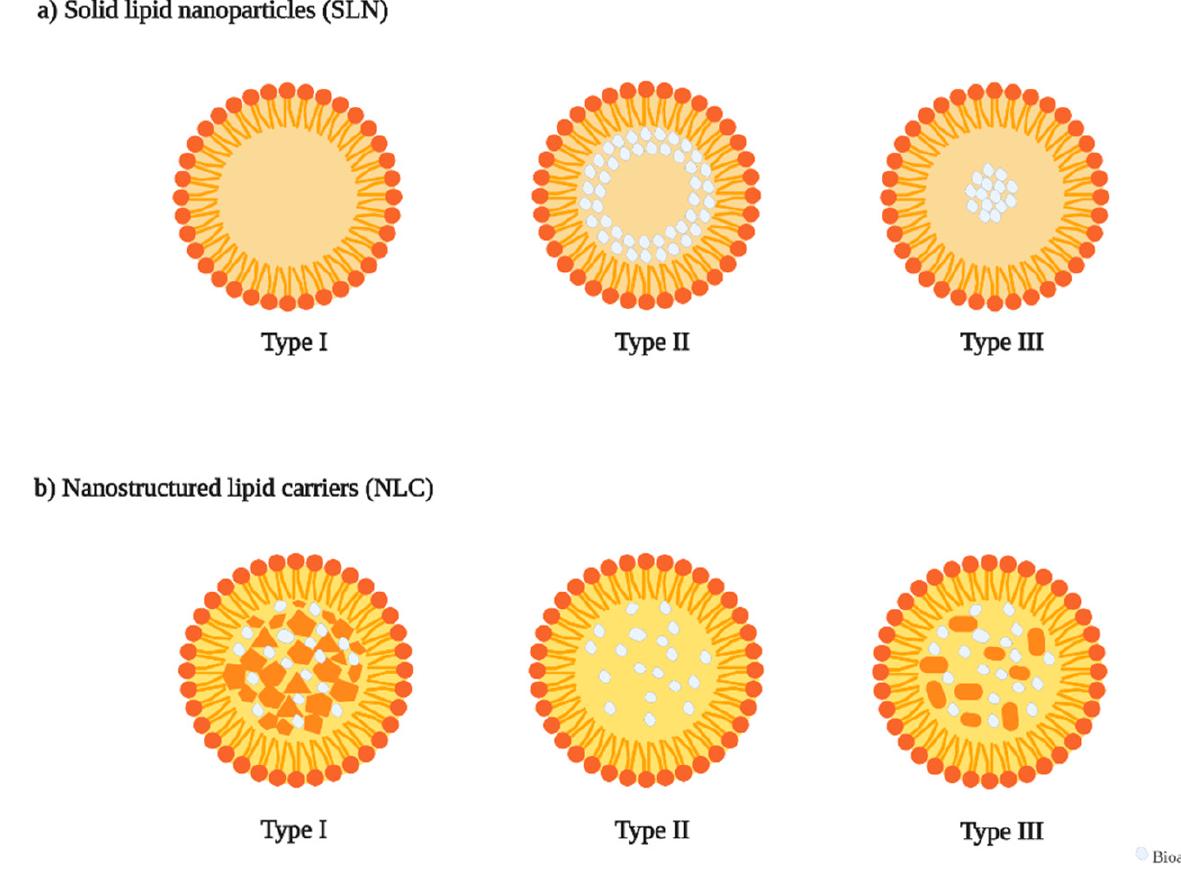 (PDF) Solid Lipid Nanoparticles as Carriers of Natural Phenolic Compounds