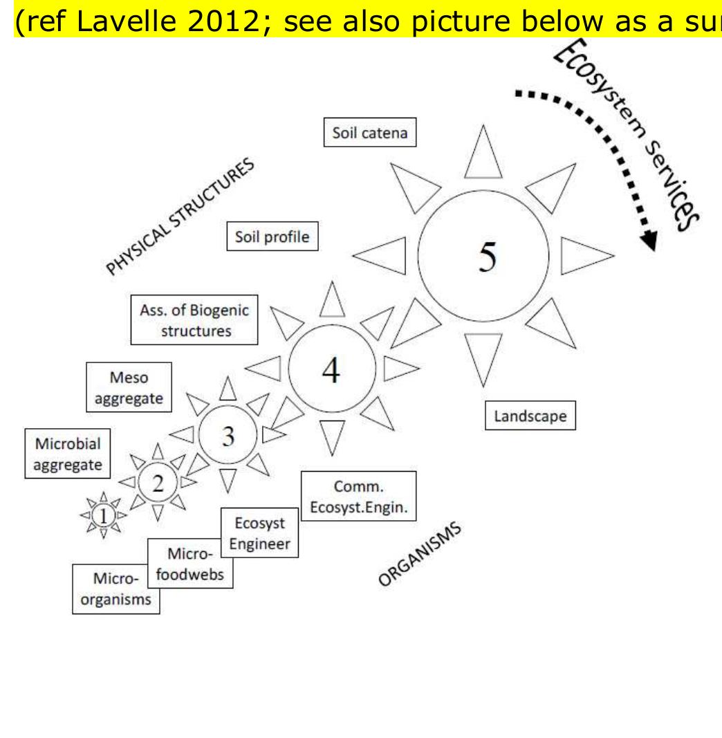 Biological soil indicators