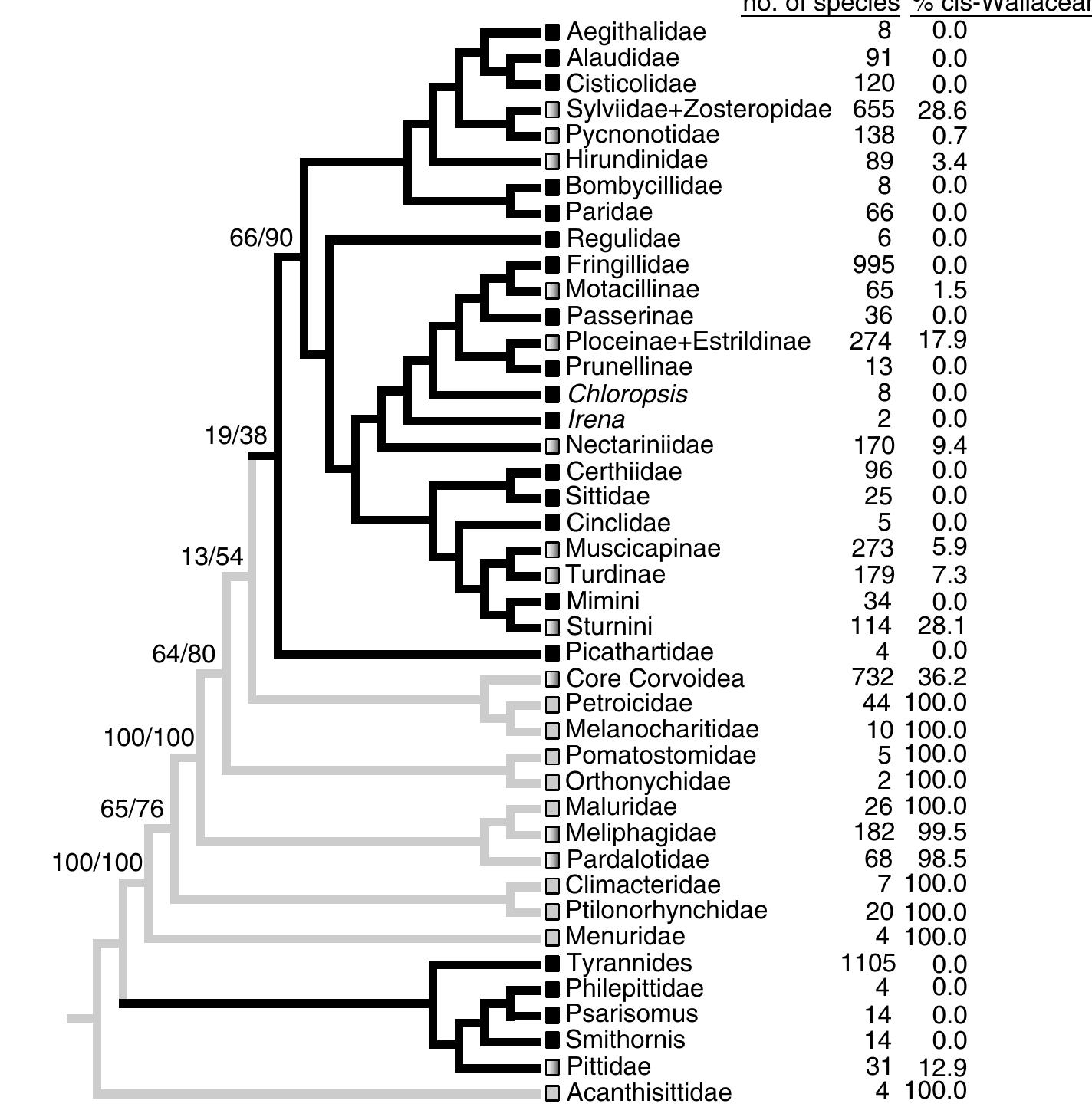 Figure 2. Distribution and biogeographic reconstruction of Passeriformes. The tree represented is the maximum-likelihood hypothesis of relationships (figure 1b). Numbers near basal branches indicate recovery of the indicated nodes in bootstrap analyses (parsimony/likelihood). The squares after each terminal are black if the taxon represented is entirely trans-Wallacean, grey if it is entirely cis-Wallacean and gradient-filled if the taxon is found on both sides of Wallace’s line (see § 2). The most parsimonious reconstruction of the binary cis/trans character is indicated by branch shading for illustrative purposes only. Following each clade name is the number of extant species in that clade and the percentage of those species found on the Australo—Papuan side of Wallace’s line (cis-Wallacean). 