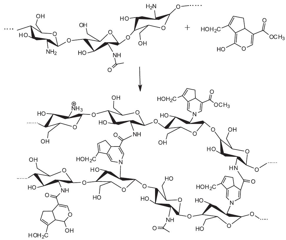 Schematic representation of crosslinking reaction between