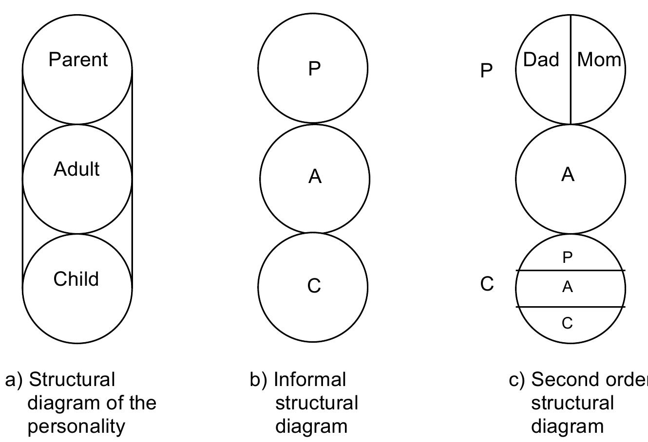 With emphasis on the functional aspect berne created a model