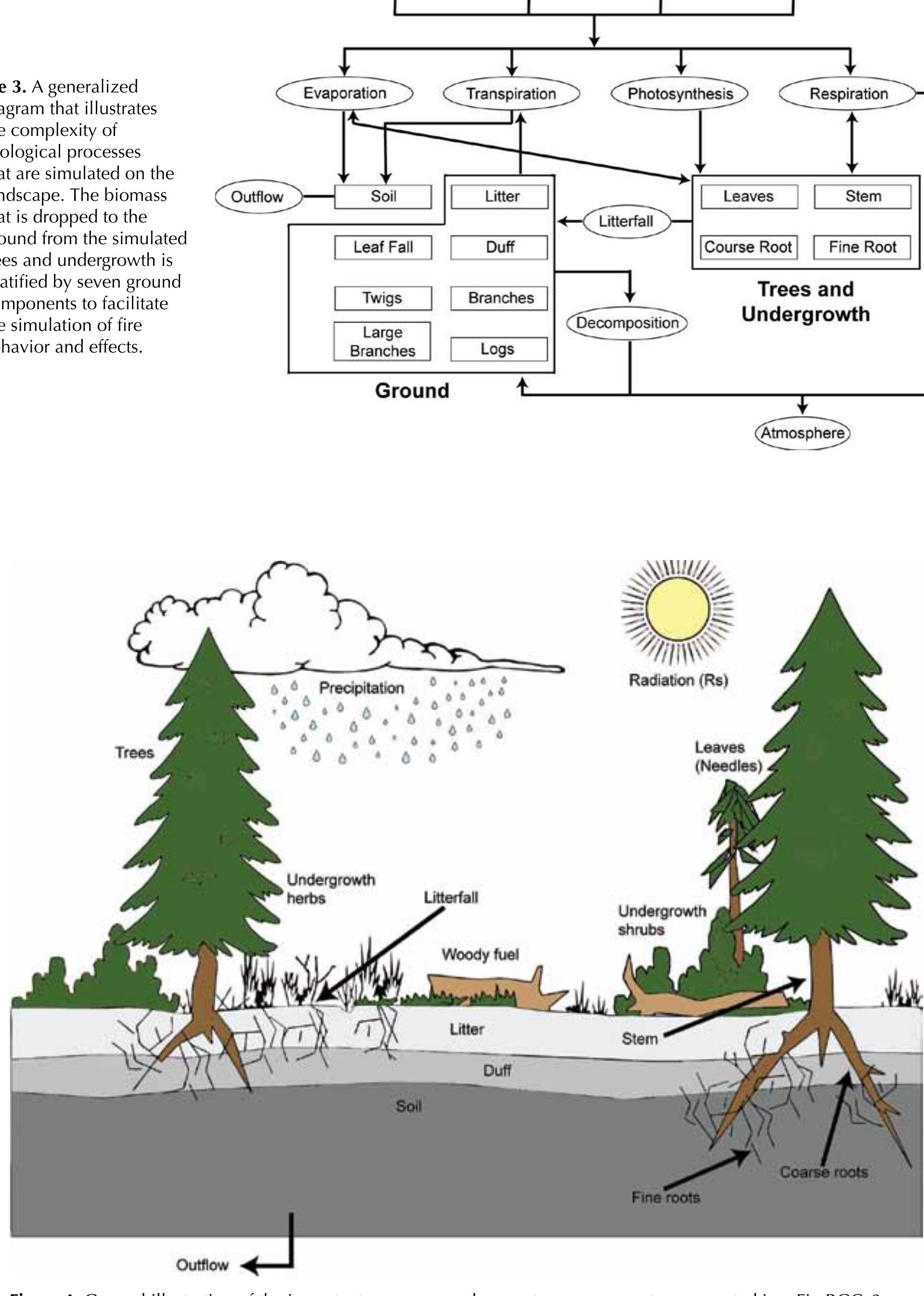 Figure 5 - from The FireBGCv2 Landscape Fire Succession