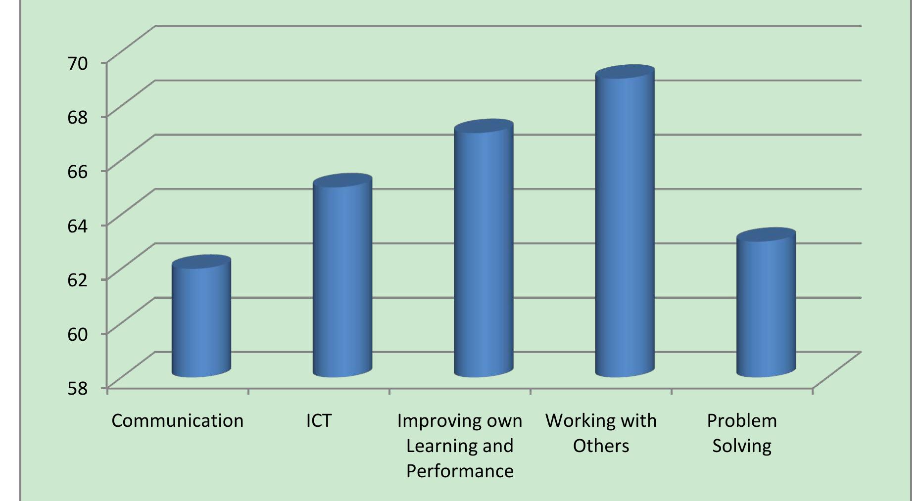 The results from the mentee questionnaire revealed mentoring