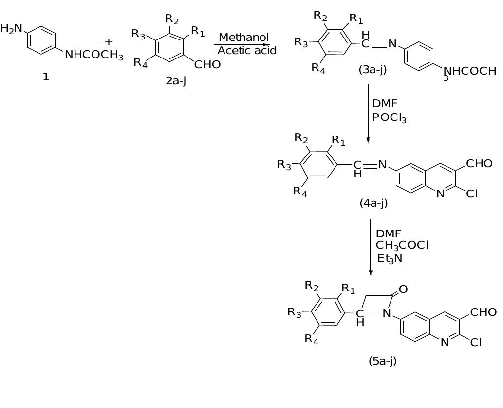 (PDF) Novel Synthesis and Antimicrobial Activity of Novel Schiff Base ...
