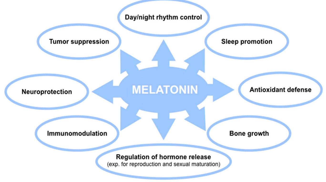 The main roles and functions of melatonin in humans. ba mae)