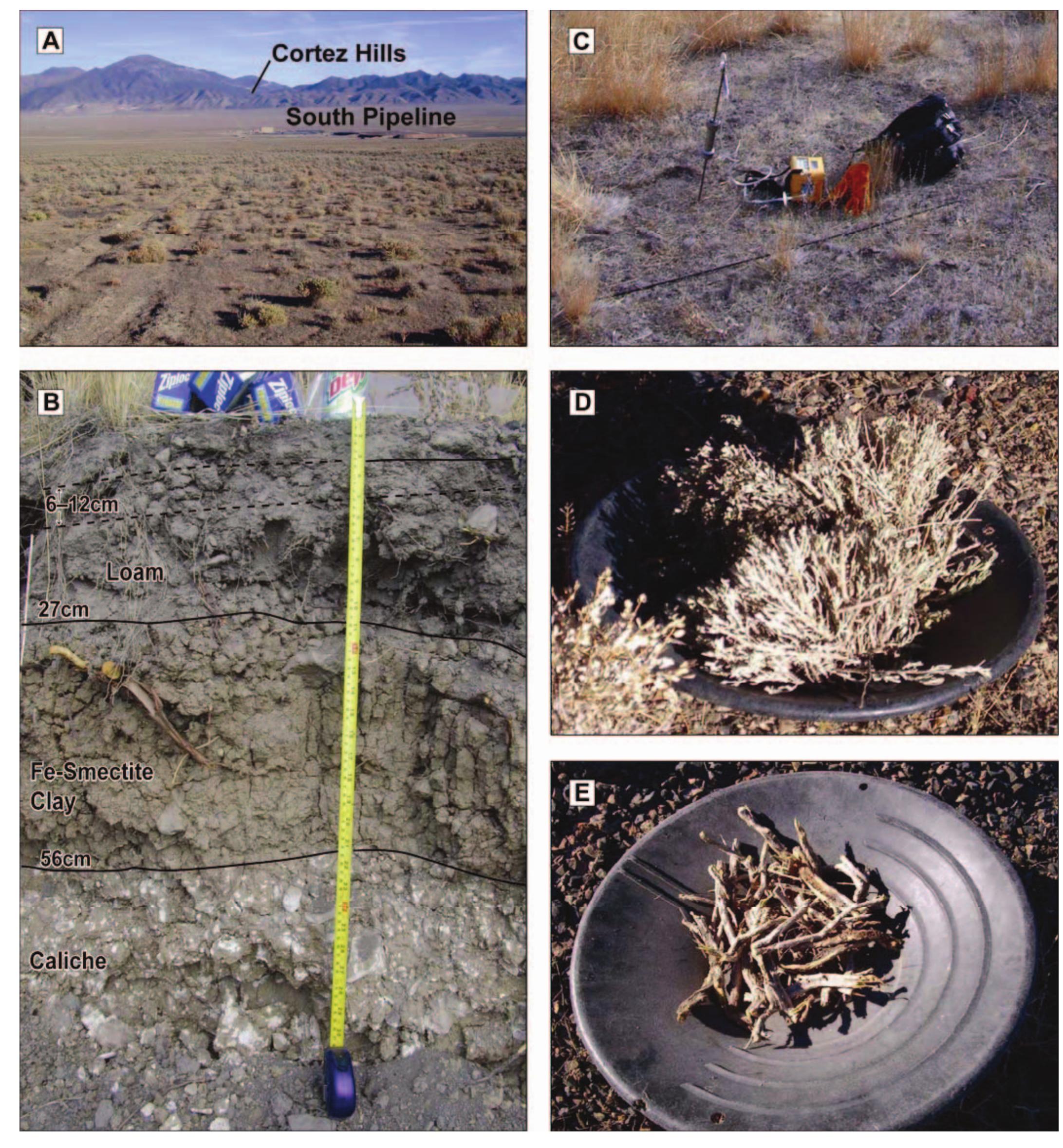 Figure 1 - from Soil and stream sediment geochemical