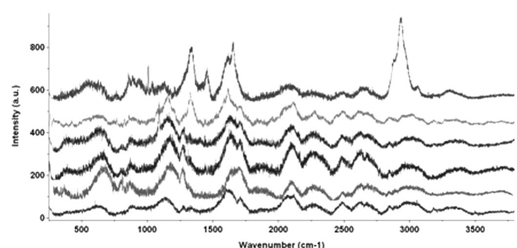 Raman spectra corresponding to the different vegetal fibers