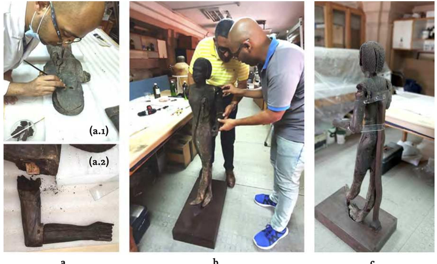 Fig.1 The main steps of conservation of the statue JE 100373: (a.1) Pre-consolidation process; the small pieces of wood in the Petri dish were detached from the statue while removing the modern tenon and afterwards reintegrated into the statue; (a.2) Left arm with modern shoulder tenon; (b) Final reinforce- ment of the statue’s left arm; (c) Statue after conservation and fixed upon a new base (photos A. Medhat)  the previous conservation process were gently removed by mechanical tools and the anima glue was dissolved by the injection of a mix of ethyl alcohol and acetone (1:1) as it destabilized the joint. After determining the position of the individual fragments (which were detached during the extraction of the joints), and the missing parts of the object, Paraloid B-82 (methy methacrylate) dissolved in ethyl alcohol of a concentration of 15% was used as an adhesive to assemble the separate parts (cf. Medhat - Zidan - El Hadidi 2009). Finally, the left arm of the statue was reinforced through strips of plexiglass, which were fixed to the wooden beam supporting the statue’s back. After the conservation process, the statue was considered as a masterpiece of Old Kingdom sculpture, assigned its JE number (formerly TR 11/12/6/2) and transferred to the New Capital Museum, where it will be displayed to the public.  