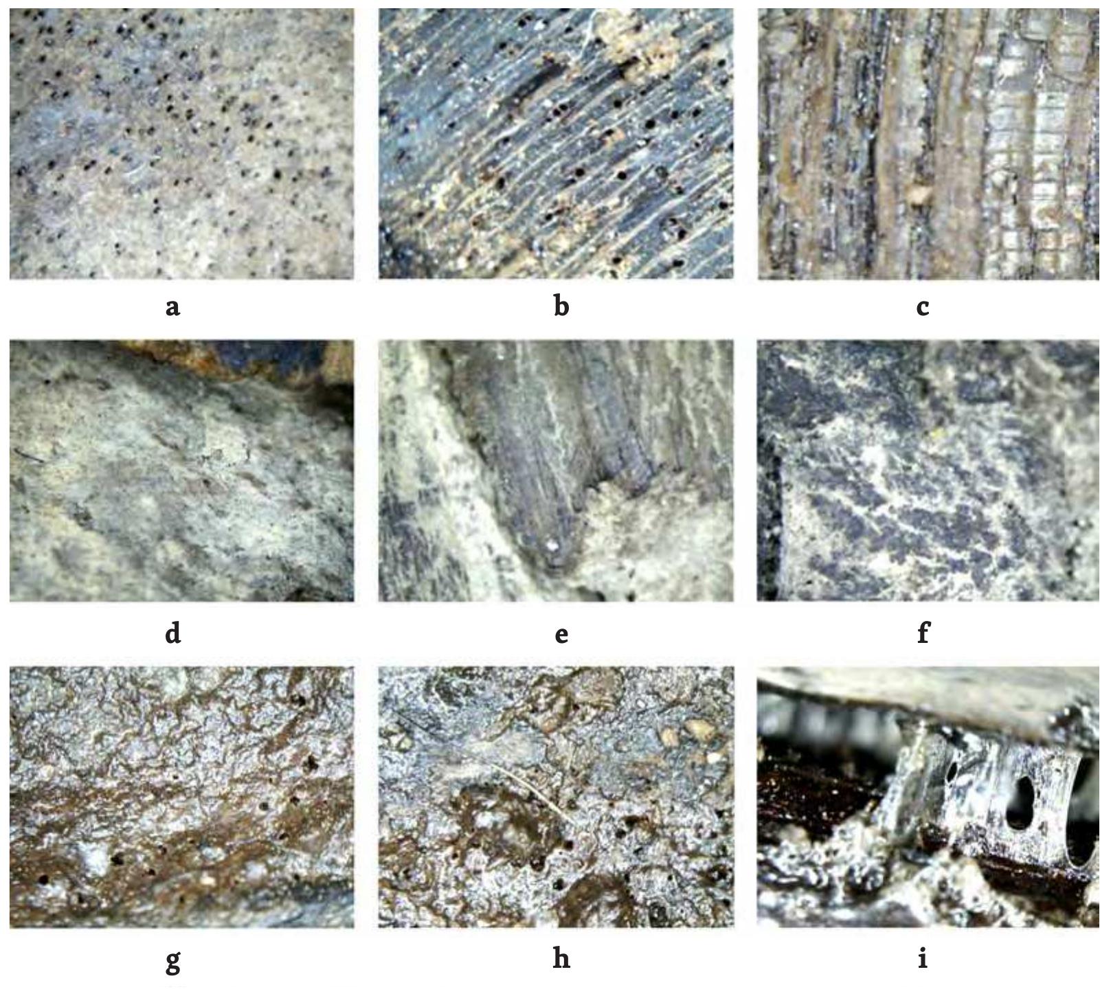 Fig. 3 USB microscope investigation:(a-b) Transverse and longitudinal section of the wood as visible on its surface; (c) Chisel marks on the wooden surface; (d-e) Calcium carbonate layer covering the wood; (f) A small piece of the gold foil on the statue’s skirt; (g-h) Glossy layer of Paraloid B-72 as filler from the previous conservation process; (i) The beginning phases of the decomposition of Paraloid B-72 within the  fissures and splits (photos A. Medhat) 