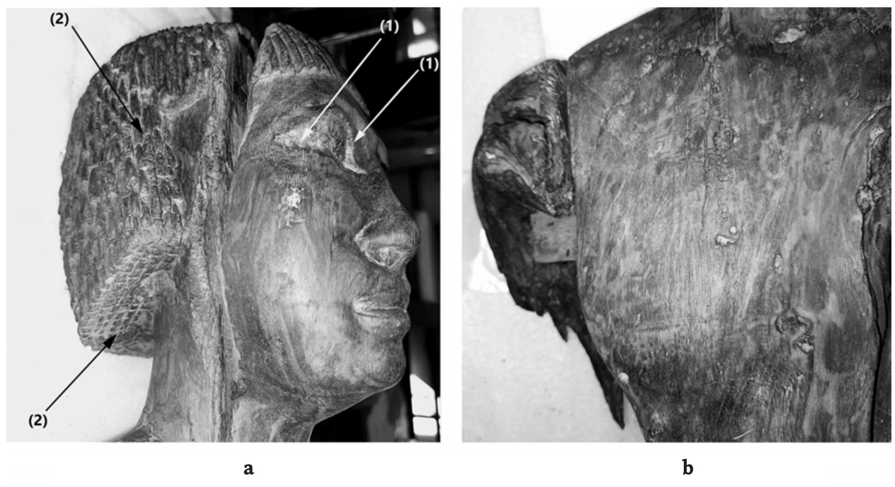 Fig.5 Raking light examination of the face: (a) The tool marks on (1) the sharply cut eyelids or the unti- dily smoothed eyeball and (2) the wig or the criss-cross-pattern on its bottom are significantly different. (b) The surface of the torso shows vertical brush strokes under the raking light (photos A. Medhat) 