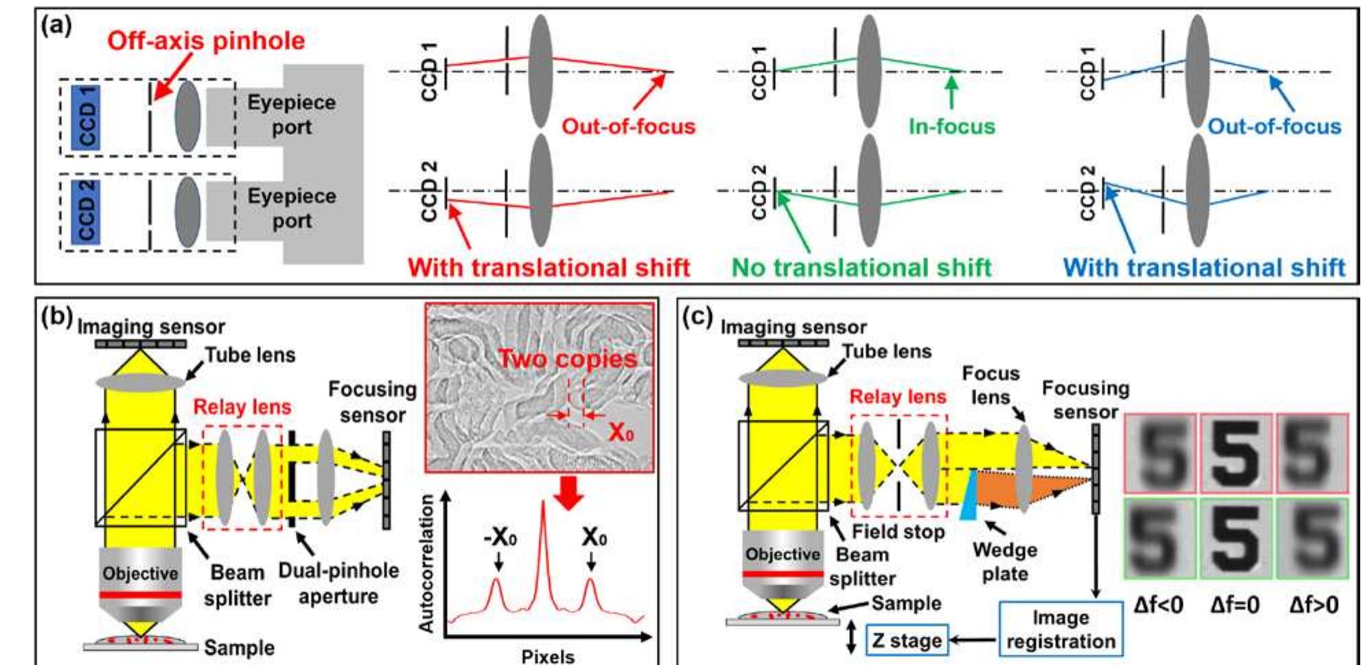 (PDF) Autofocusing technologies for whole slide imaging and automated ...
