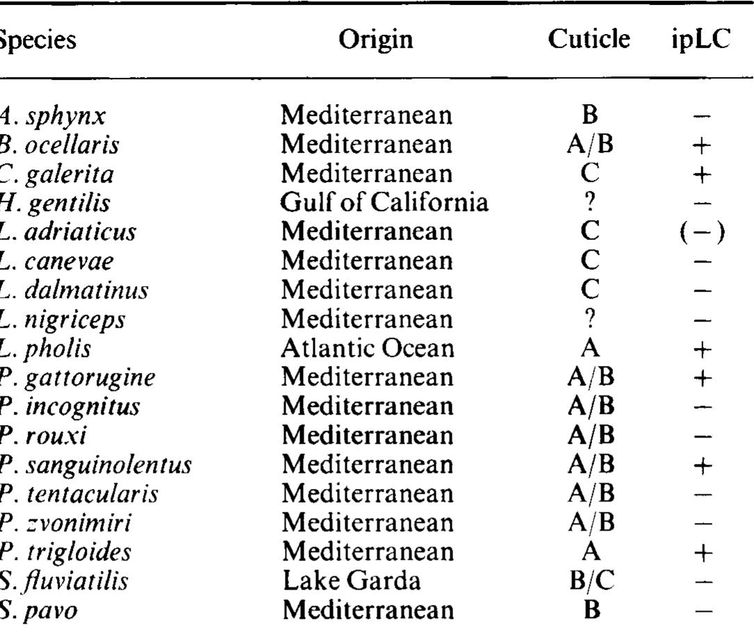 Blenny Dissection (PDF) Micro-anatomy of the pectoral fin in blennies (Blenniini ...