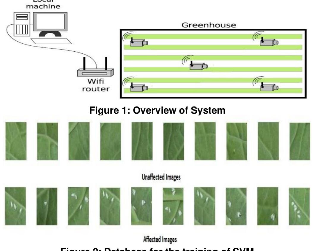 (PDF) Detection and Classification of Pests in Greenhouse Using Image ...