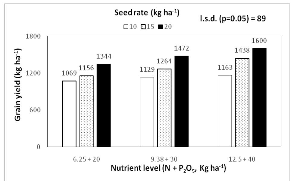 Interaction effect of nutrient level and seed rate on grain