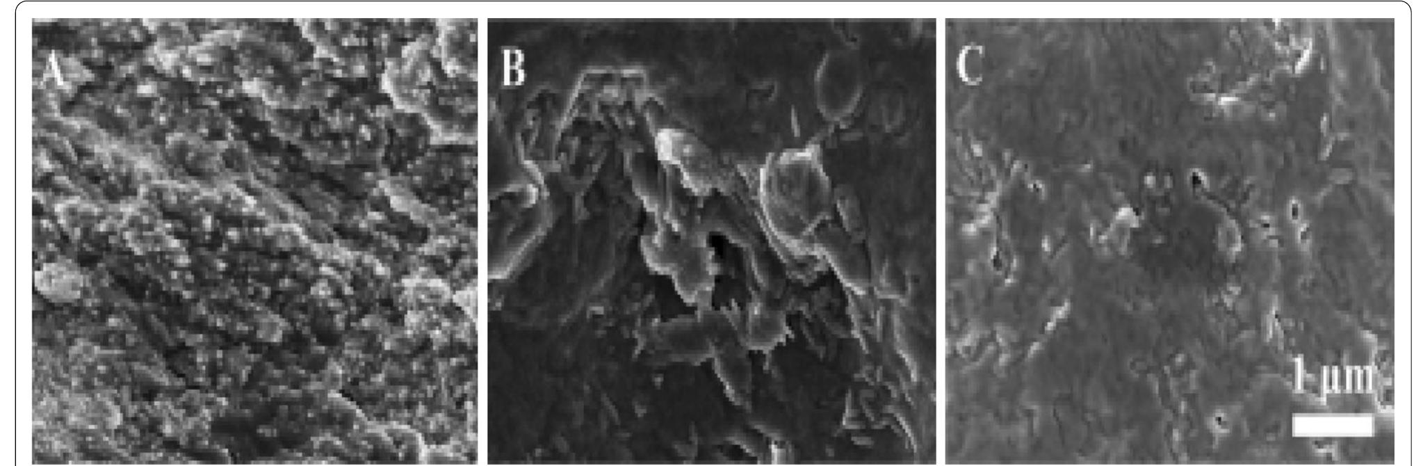 Fe-sem images for the fracture morphologies of a phb/ncc-15,