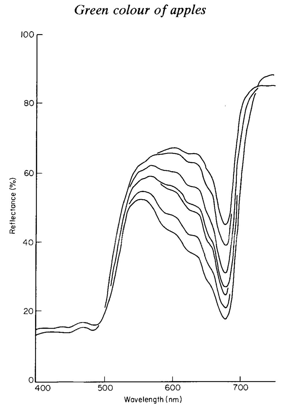 Reflectance spectra of a single cox’s orange pippin apple