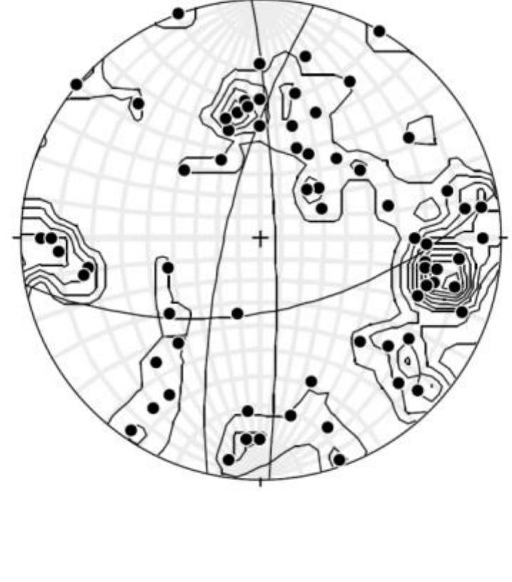 Face Method Big Rocks Plan Figure 10 - Geological rock face mapping and kinematics