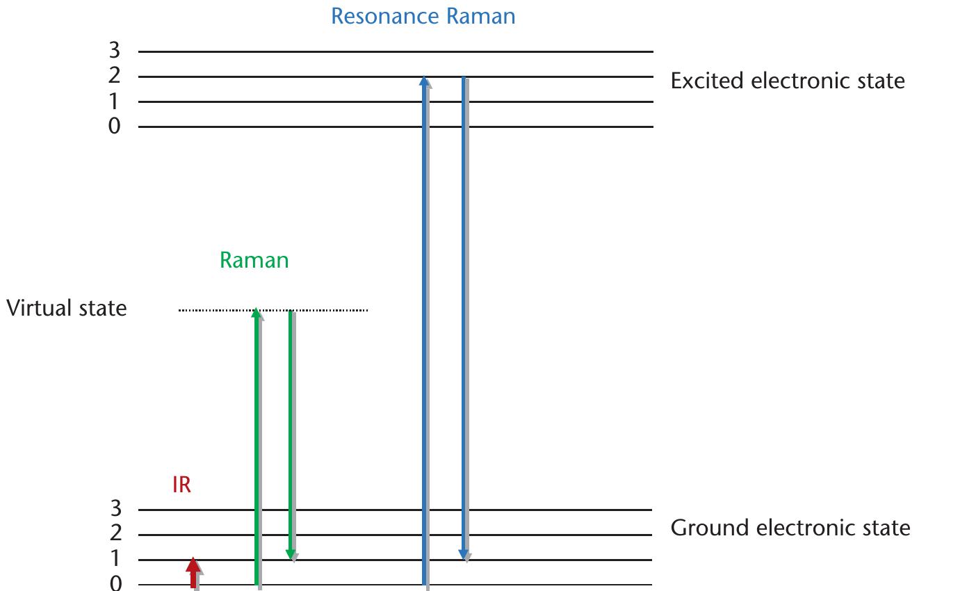 Schematic illustration of the differences between the ir,