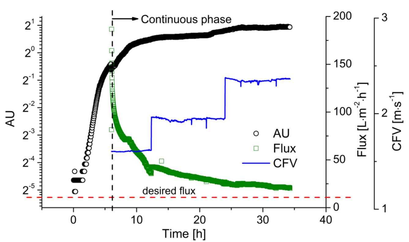 (PDF) Anaerobic Membrane Bioreactor for Continuous Lactic Acid Fermentation