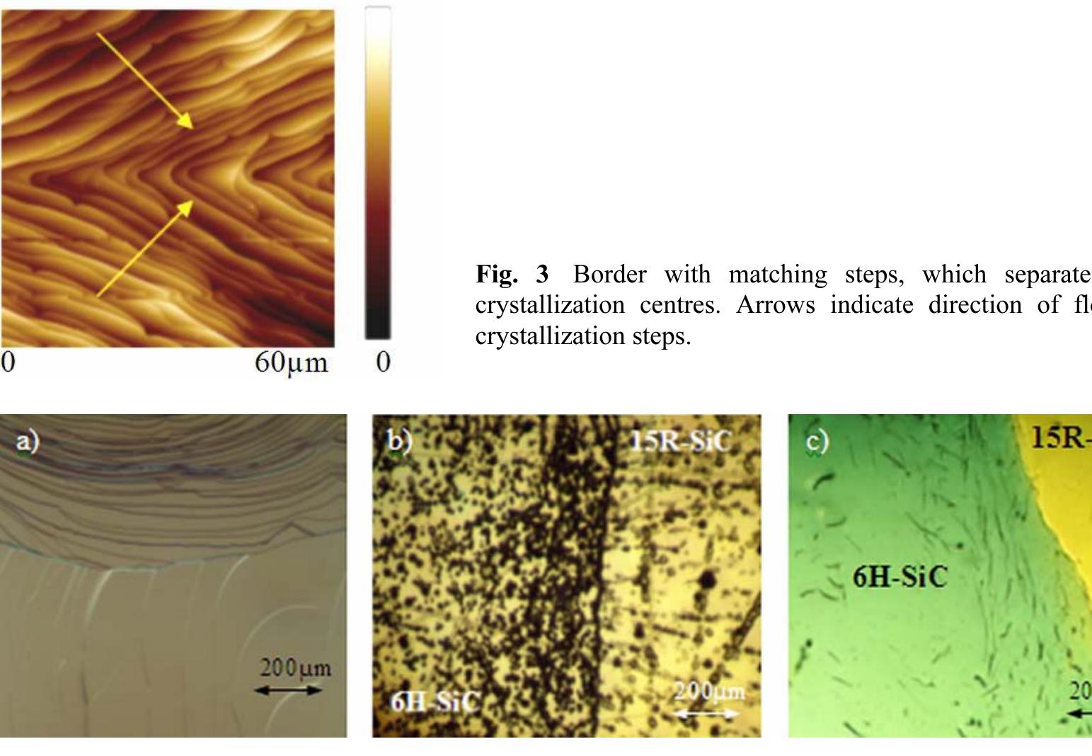 Figure 2 - from Initial stages of SiC crystal growth by PVT