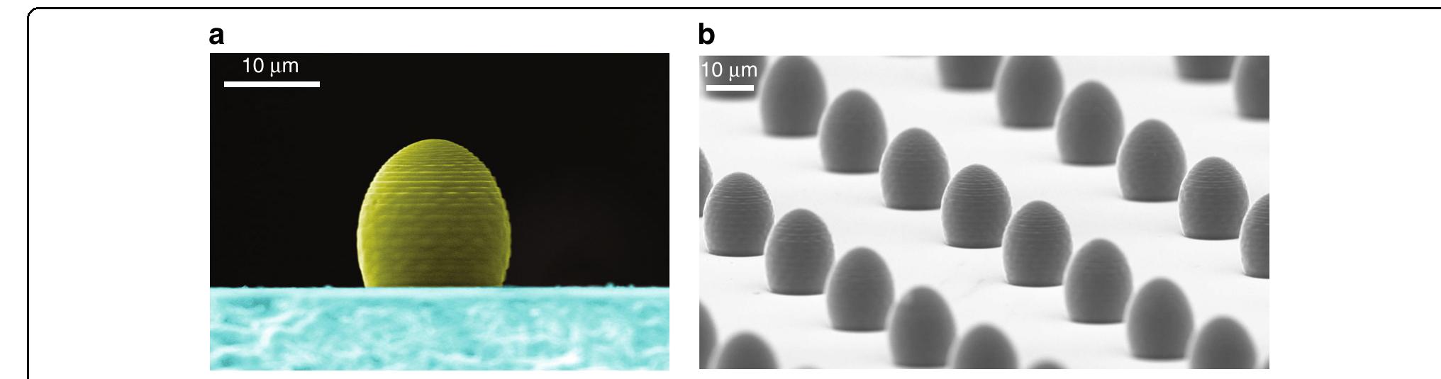 Scanning electron microscope (sem) images of 3d-printed
